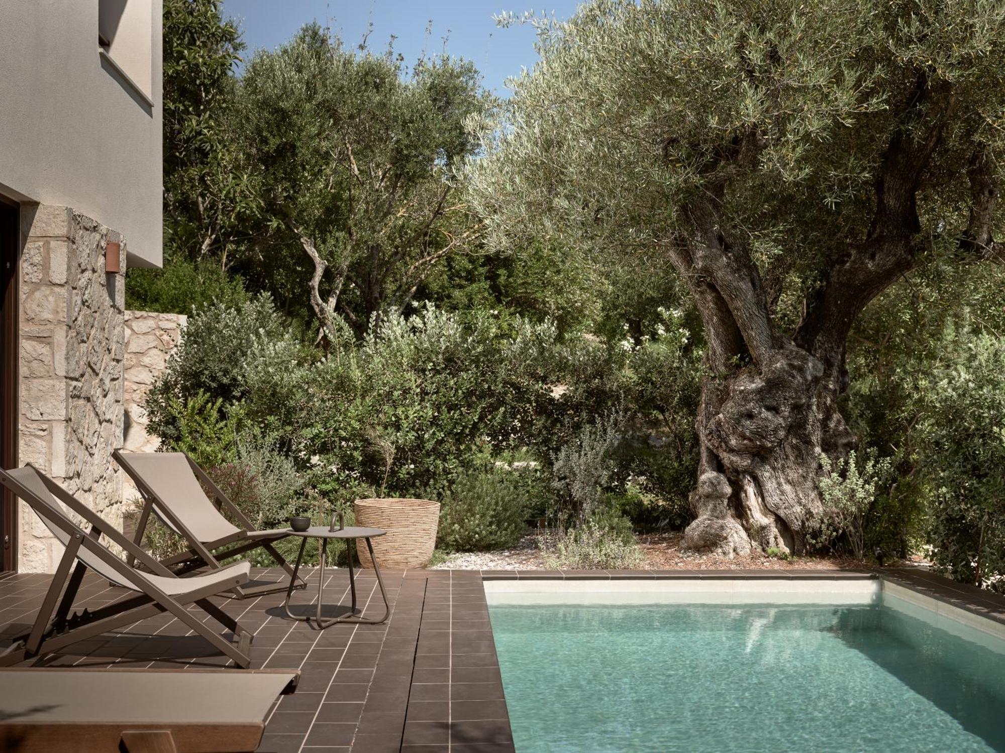 Zayn Luxury Villas, A Serene Escape, By Thinkvilla Tsilivi  Zewnętrze zdjęcie